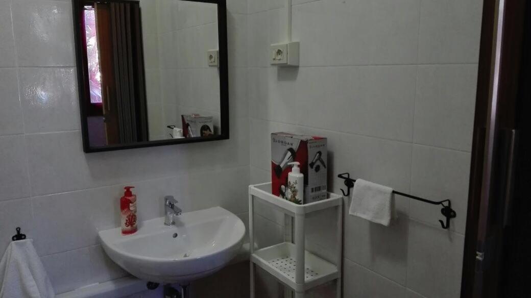 La casa di Filippo Hotel Pisa Eksteriør billede